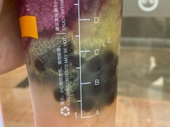 -CoCo都可(十全东店)