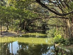 -人民公园(罗湖区)