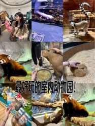 -Zoolung Zoolung动物主题公园(海信广场店)
