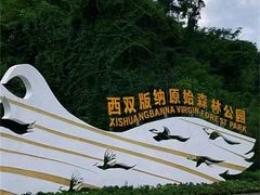 -西双版纳原始森林公园