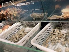 水产区-日丰园海肠水饺·老字号大连海鲜(和平广场店)