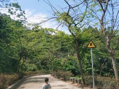 -田心森林公园
