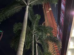 -吉隆坡国油双峰塔