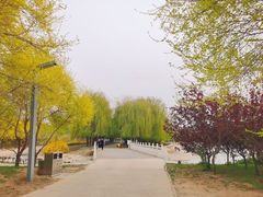-廊坊市自然公园