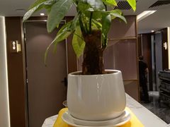 -海宝酒家(中山四路店)