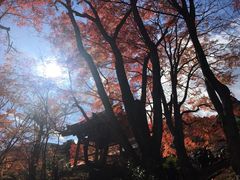 -常寂光寺