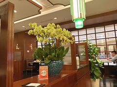 -蝶园·装修中(BFC外滩金融中心店)