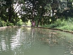 -成都市活水公园