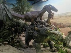 -国家自然博物馆