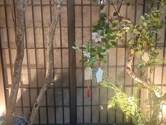 -潇湘府PLUS(大族广场店)