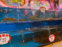 水产区-潮喜竹溪荔湖酒家(荔枝湾店)