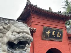 -洛阳白马寺