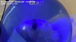 -韩国淼美颜皮肤管理官方直营店