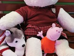 -汤姆熊欢乐世界(莘庄龙之梦店)