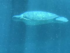 -亚龙湾海底世界