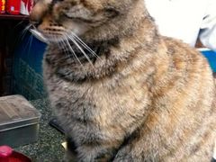 -协和菜馆(凤凰街店)