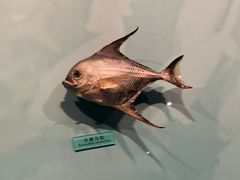 -天津自然博物馆