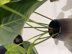 -眉州东坡(清河万象汇店)