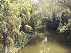 -荆川公园