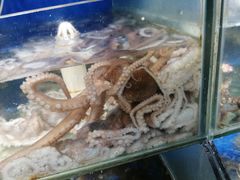 -雅逸居海鲜小厨