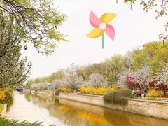 -海棠花溪(元大都城垣遗址公园)