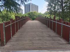 -南翔镇银翔湖公园