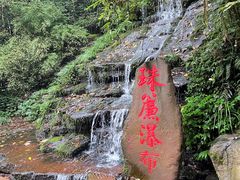 -碧峰峡风景区