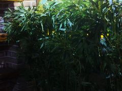 -琴寿司居酒屋(中山广场店)