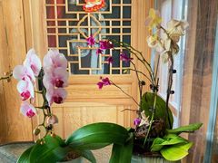 -三忘湖 SWANSEEN(柳荫公园店)