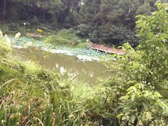 -铁山坪森林公园