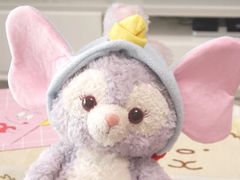 -喜士多(泰安店)