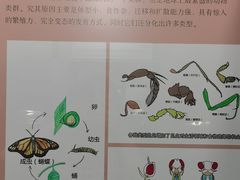-大连自然博物馆
