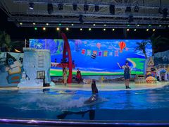 -三亚海昌梦幻海洋不夜城