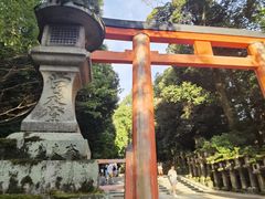 -奈良公园