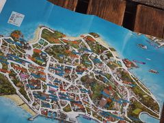 -猫咪博物馆(顶澳仔猫街店)