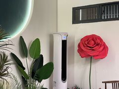 -薄荷小筑融合音乐餐吧(农业路店)