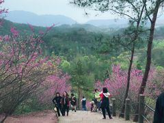 -天台山赤城山景区