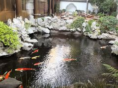 -鲤院·新中式美学·庭院餐厅(夫子庙店)