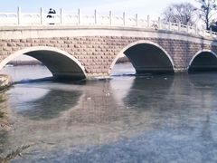 -大兴滨河森林公园