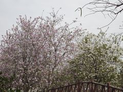 -盈香心动乐园