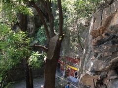 -阳台山自然风景区