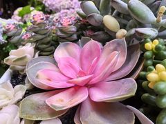 -黔人百味.贵州菜