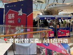 -武汉光谷K11