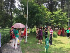 -铁山坪森林公园