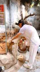 -Zoolung Zoolung动物主题公园(海信广场店)