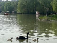 -洛阳市隋唐城遗址植物园