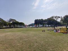 -顺峰山公园