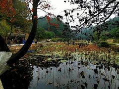 -韶山毛泽东同志故居