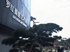 -罗红摄影艺术馆