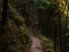 -秦岭风景区